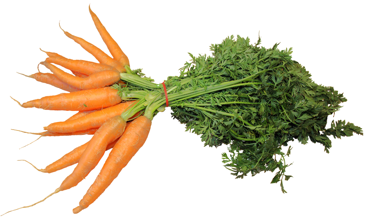 isolated, bunch of carrots, vegetables