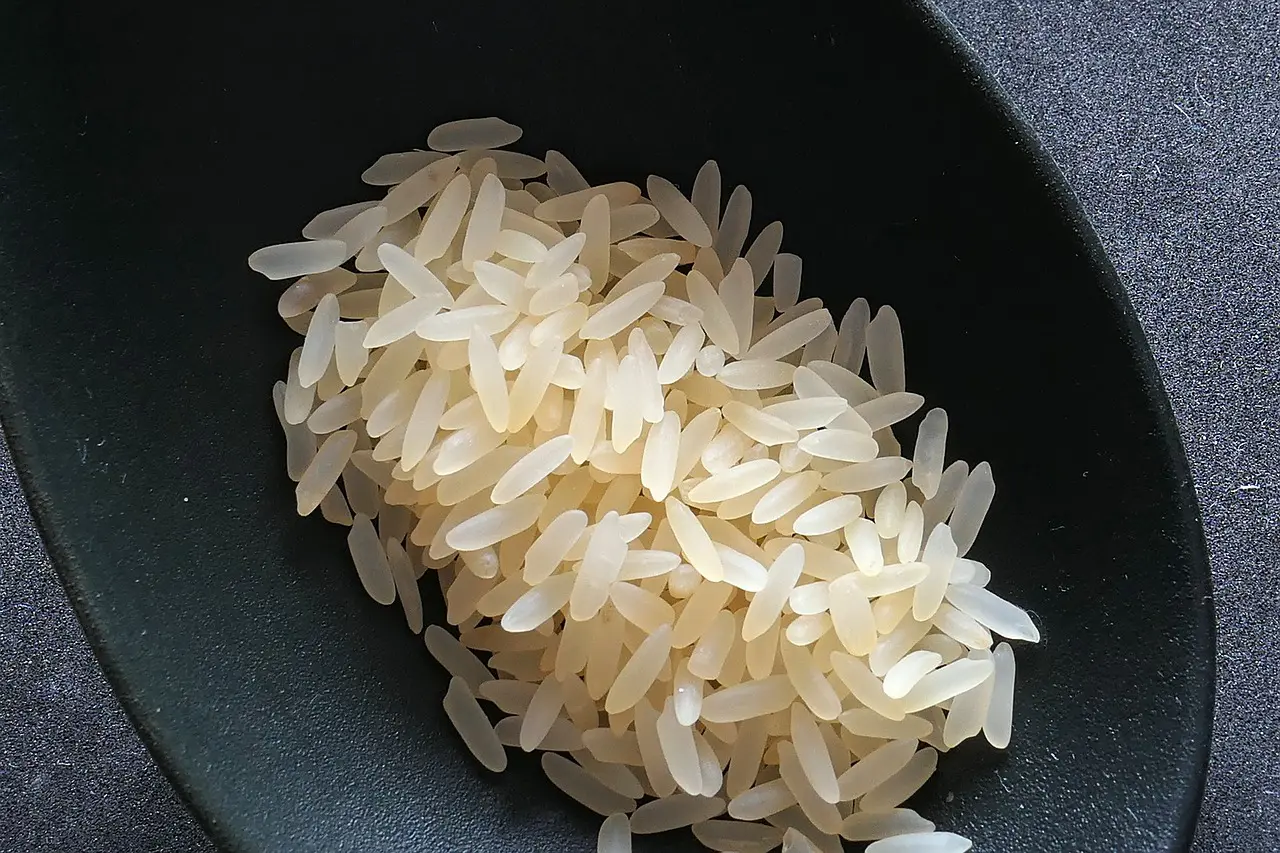 rice, spoon, spoon rice