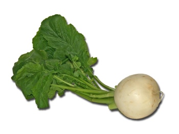 turnip, vegetables, cook