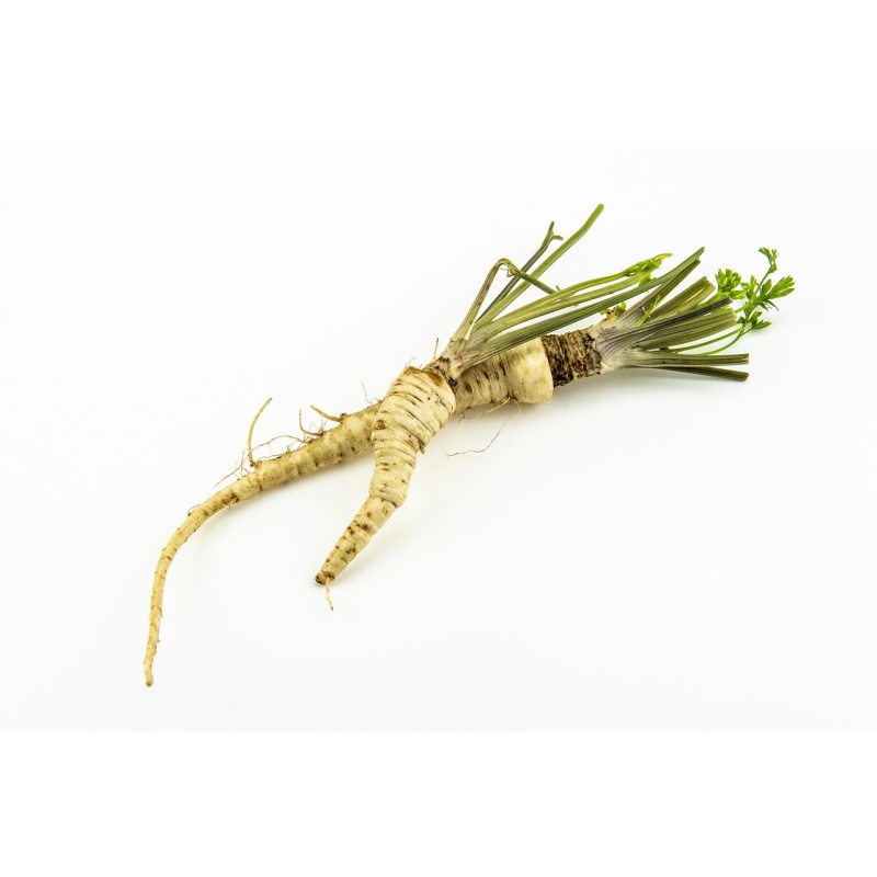 parsley, root, food