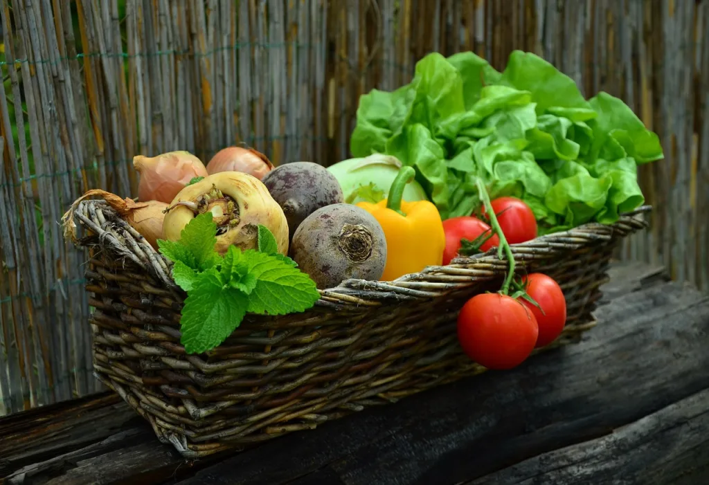vegetables, basket, nature, vegetable basket, harvest, produce, organic, fresh, fresh produce, fresh vegetables, assorted, food, garden, salad, healthy