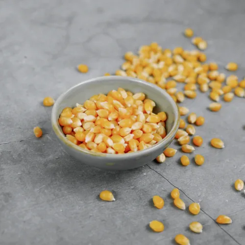 2 Bio Saaten unverpackt Popcornmais 720x 2 Bio Saaten unverpackt Popcornmais 720x