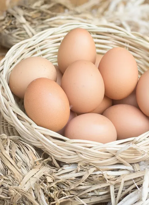 eggs, chicken eggs, fresh eggs, organic eggs