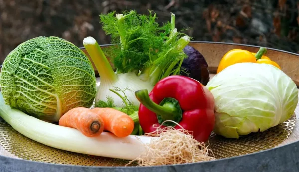 vegetables, produce, organic vegetables, vegetables, vegetables, vegetables, vegetables, produce, produce, produce, produce, produce