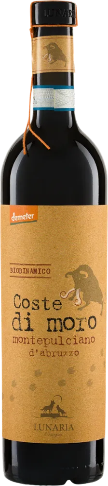 8032692480251 1 frontal 1000 27720 8032692480251 1 frontal 1000 27720