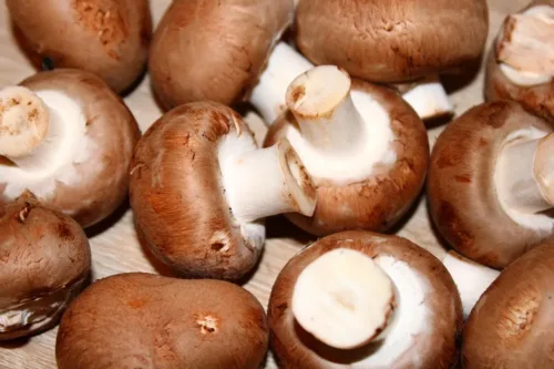 mushrooms, food, healthy, yummy, fresh, nourishment, raw, uncooked, vegetarian, natural product, edible, cook, grill