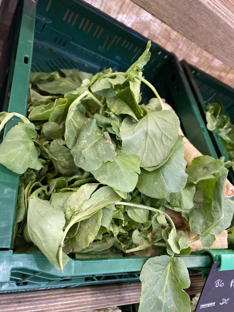 20251008 131310144 iOS