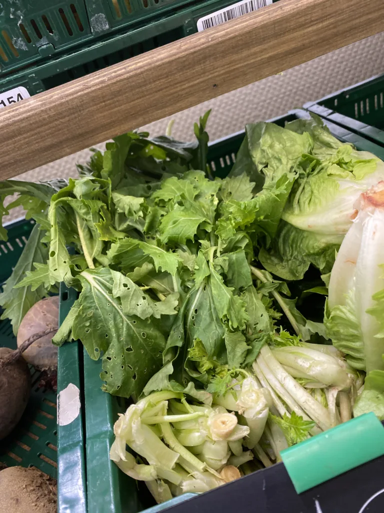 20251008 131349451 iOS