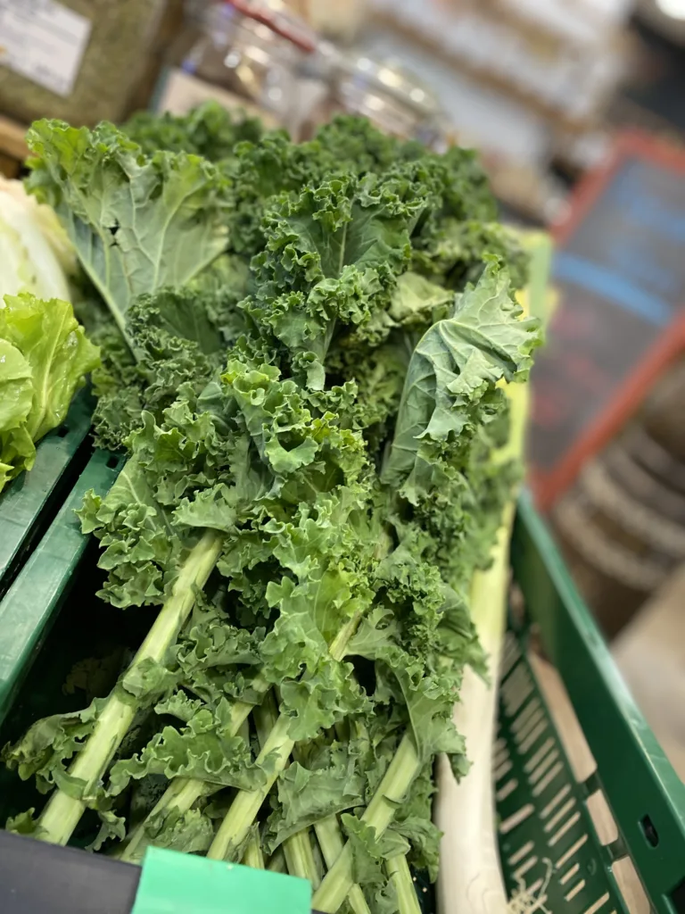 20251008 131411349 iOS