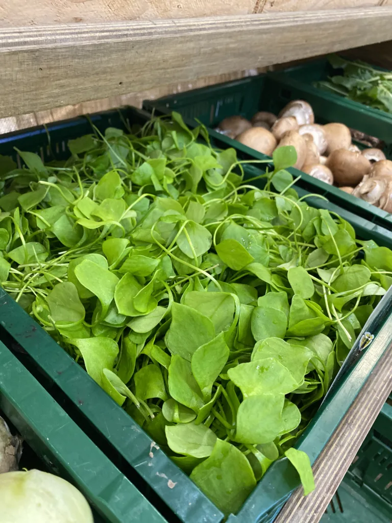 20251029 102229357 iOS