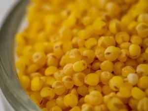 millet, raw material, foodstuff, healthy, health, food, yellow, bowl, round, ball, macro, a whole, pile, peeled, cook, cooking, millet, millet, millet, millet, millet