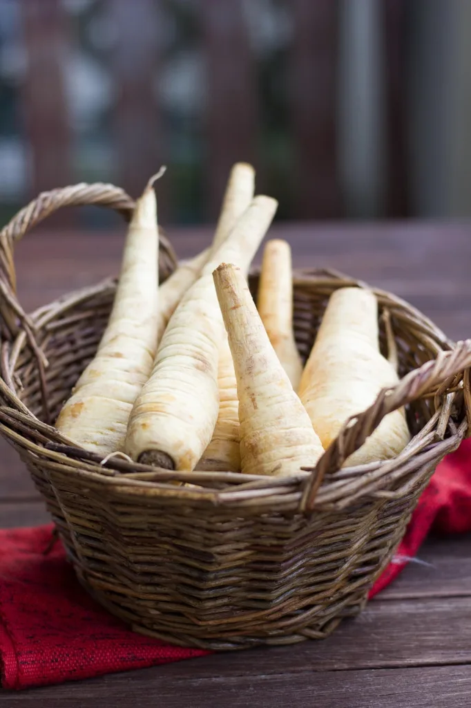 parsnip, root vegetables, parsley root, vegetables, healthy, food, market, vegetarian, raw, nutrition, nature, parsnip, parsnip, parsnip, parsnip, parsnip
