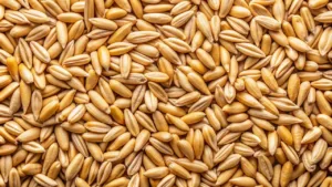 Photo by JetalProduções ai generated, oat, cereals, grains, healthy, food, agriculture, nutrition, harvest, yummy, seeds