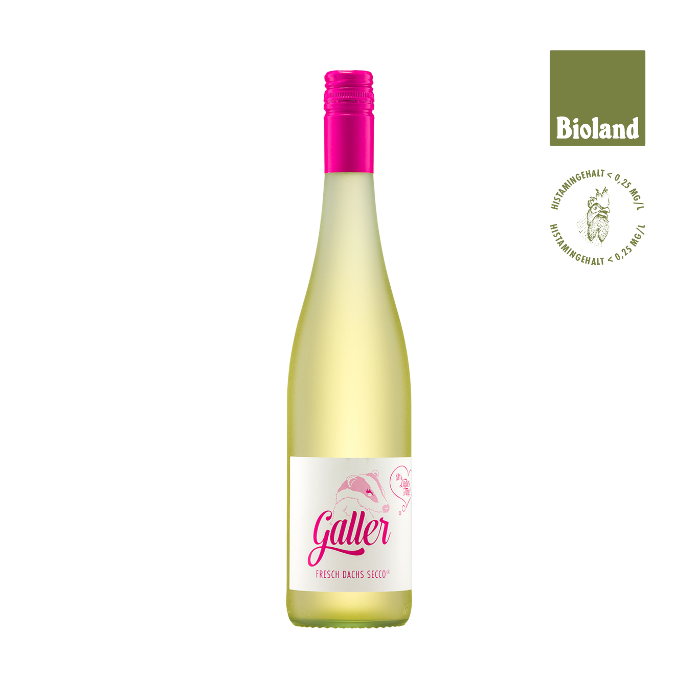 galler shopify produkte 102440